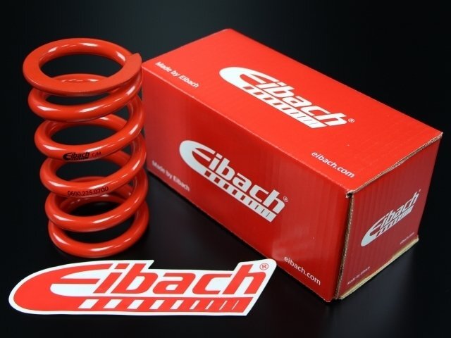 Eibach ERS rear suspension springs for[RS250 LDA/1998~]! Aiba  is Eibach-Race-Spring-System