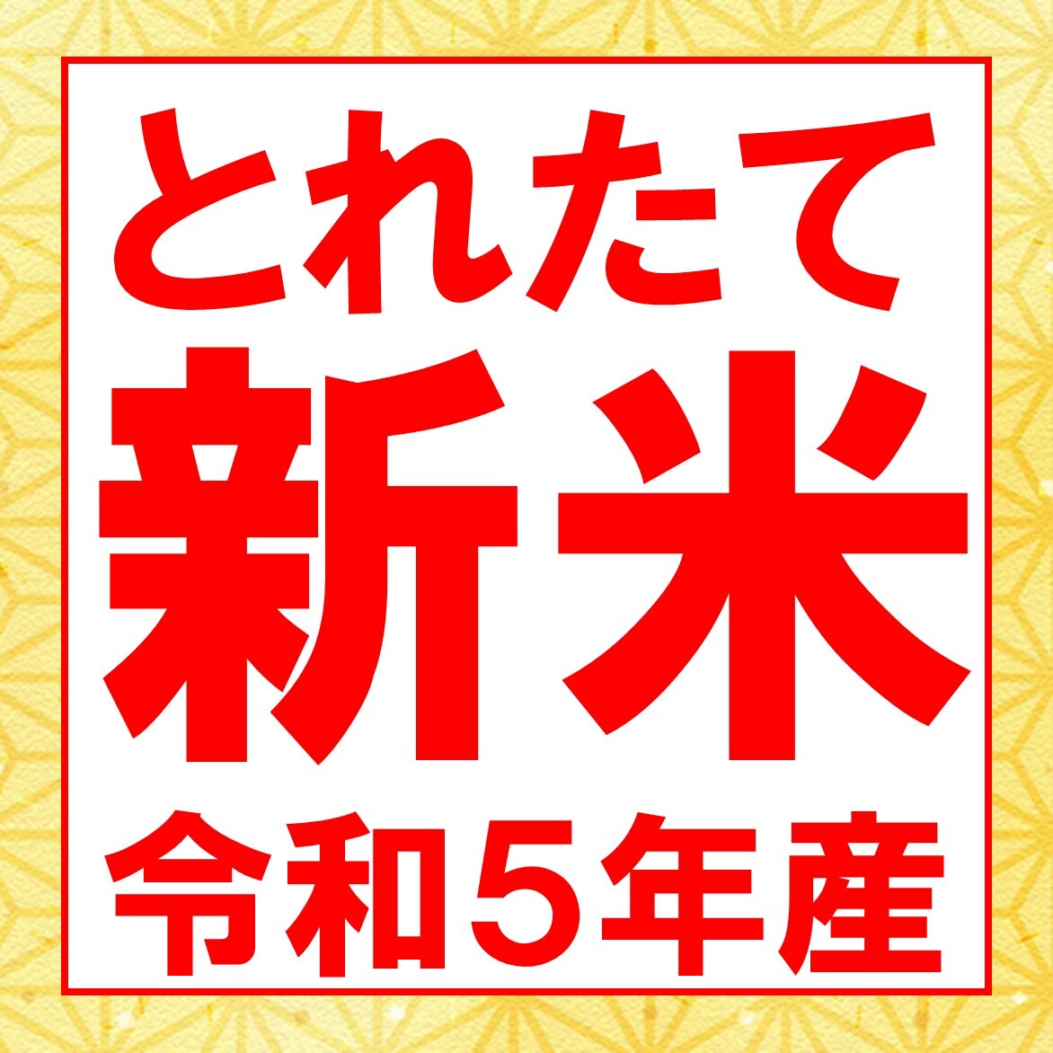 送料無料 令和5年産　新潟県産コシヒカリ　白米　５ｋｇ_画像9