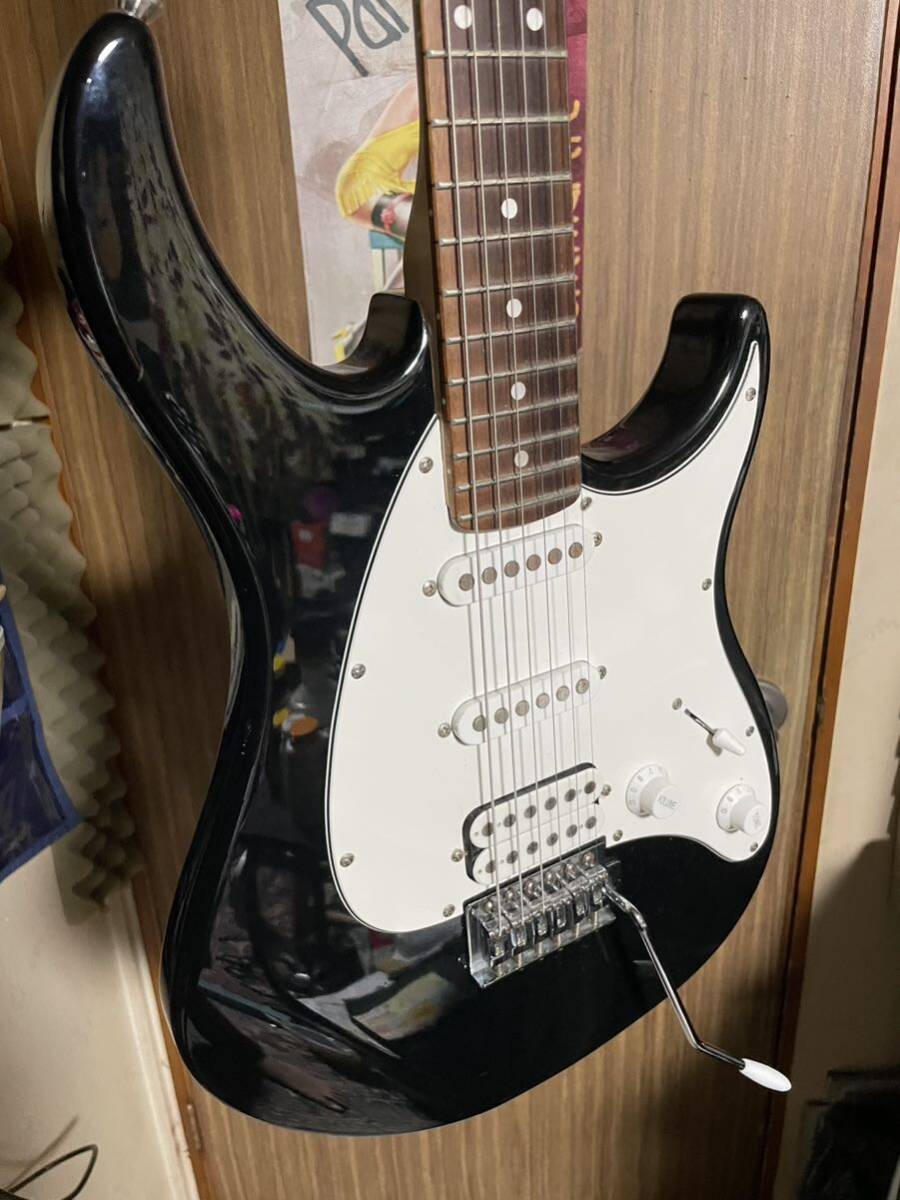 PEAVEY RAPTOR PLUS ピーヴィー ラプタープラス の画像4