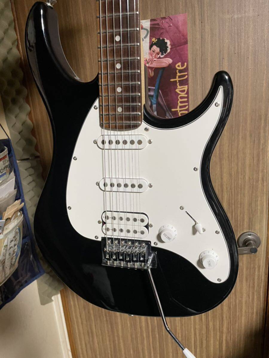 PEAVEY RAPTOR PLUS ピーヴィー ラプタープラス の画像5