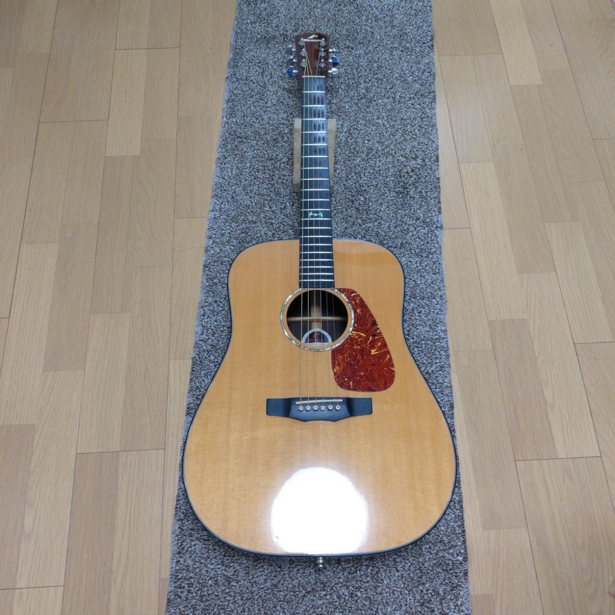 Morris M-51GT エレアコアコースティックギター