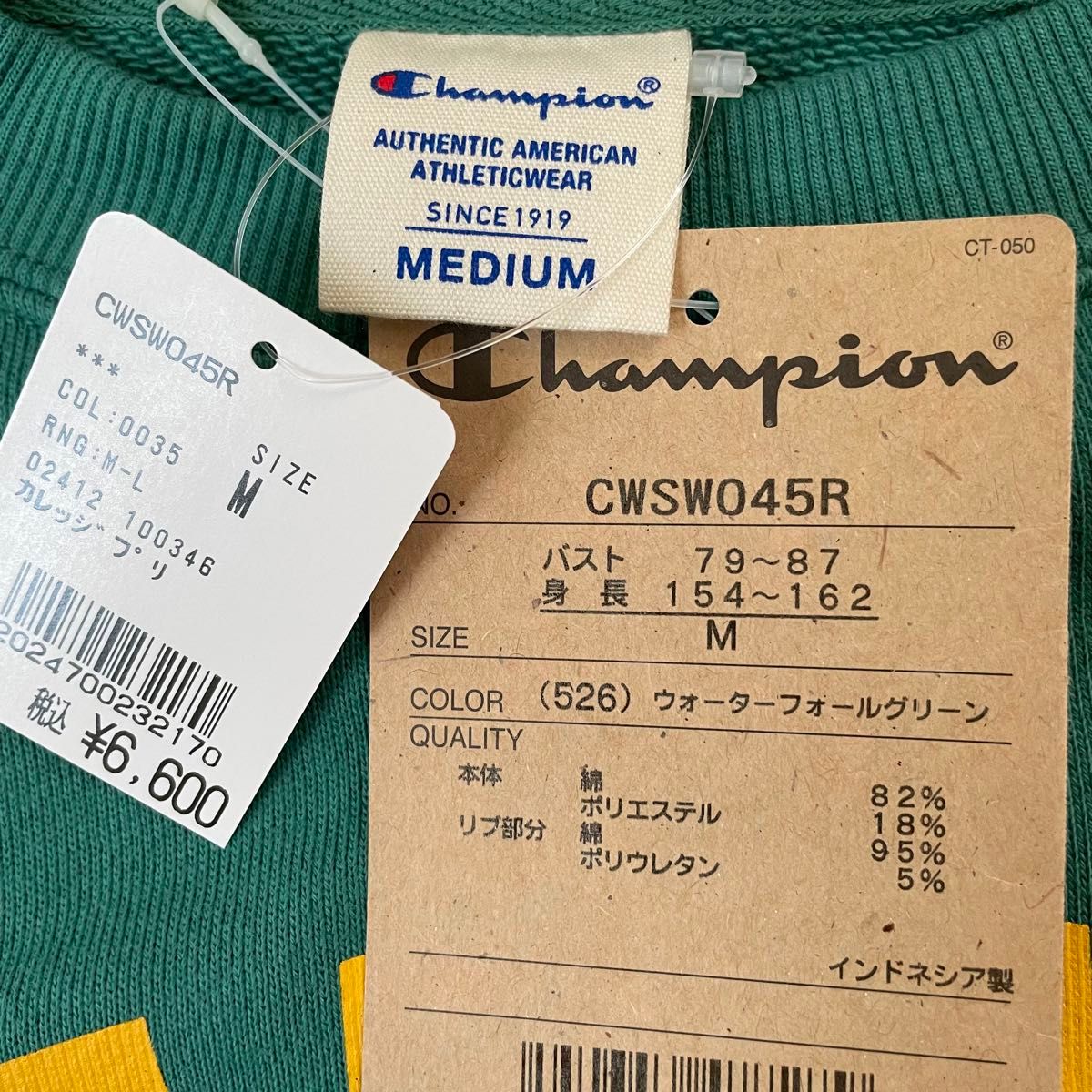 【定価6600円】Champion チャンピオン カレッジロゴ スウェット トレーナー 緑 Mサイズ