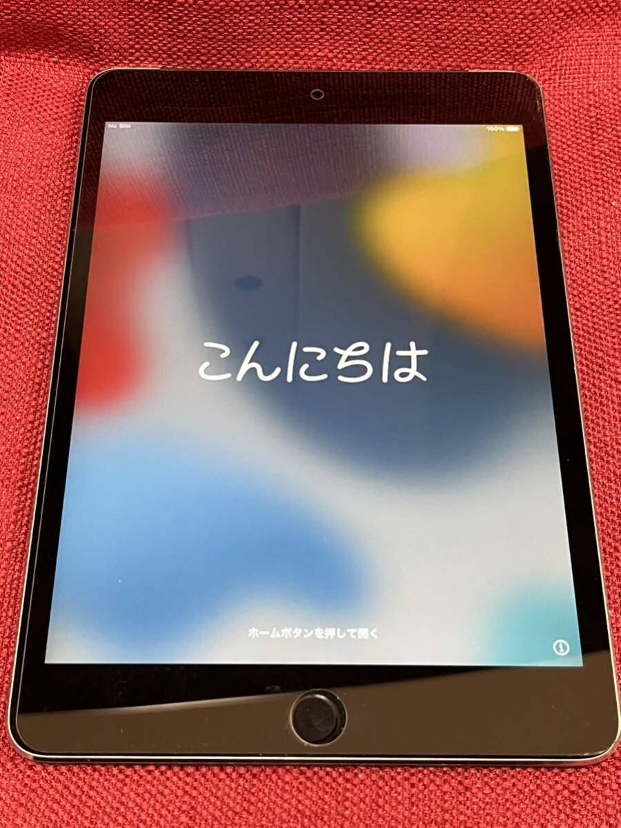 Apple iPad mini 4 16GB スペースグレー au○判定 A1550/Wi-Fi/Cellular/タブレット/本体/充電器の画像1