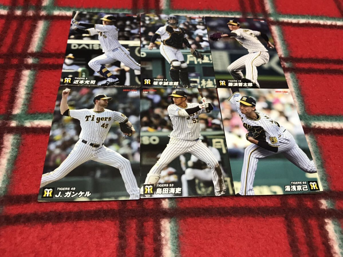 2022 第3弾 阪神タイガース レギュラーカード 全6種 6枚 カルビー プロ野球チップス 近本 坂本 藤浪 ガンケル 島田 湯浅_画像1