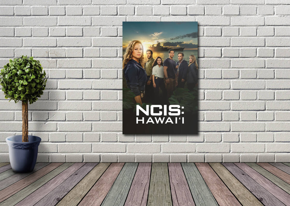 新品 NCIS HAWAII タペストリー ポスター /218/ 映画ポスター 壁 ガレージ装飾 フラッグ バナー 看板 旗 ポスター の画像1