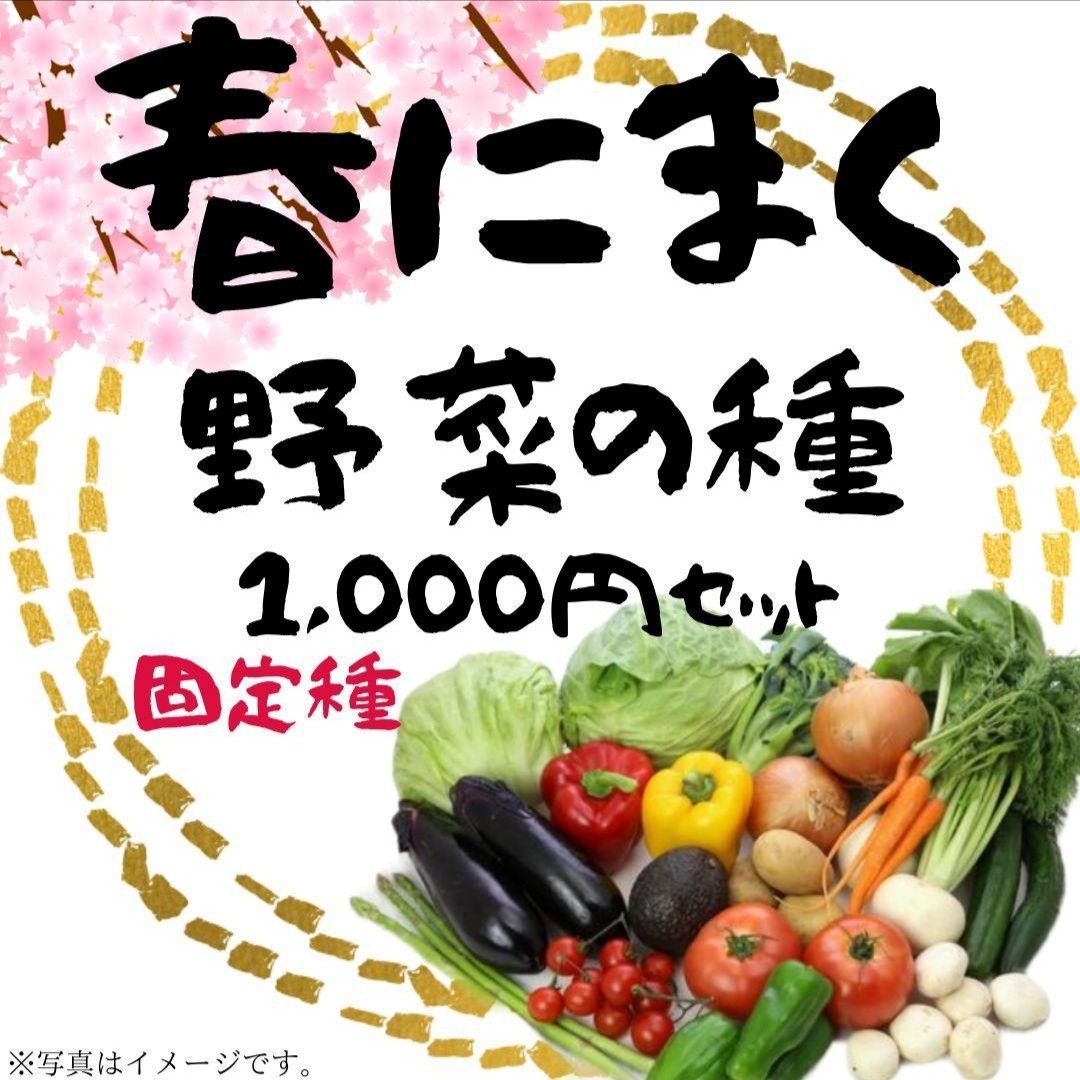 春にまく野菜の種 1 000円セット【2025 年 春】|Yahoo!フリマ 春にまく野菜の種 1 000円セット【2025 年 春】|Yahoo!フリマ