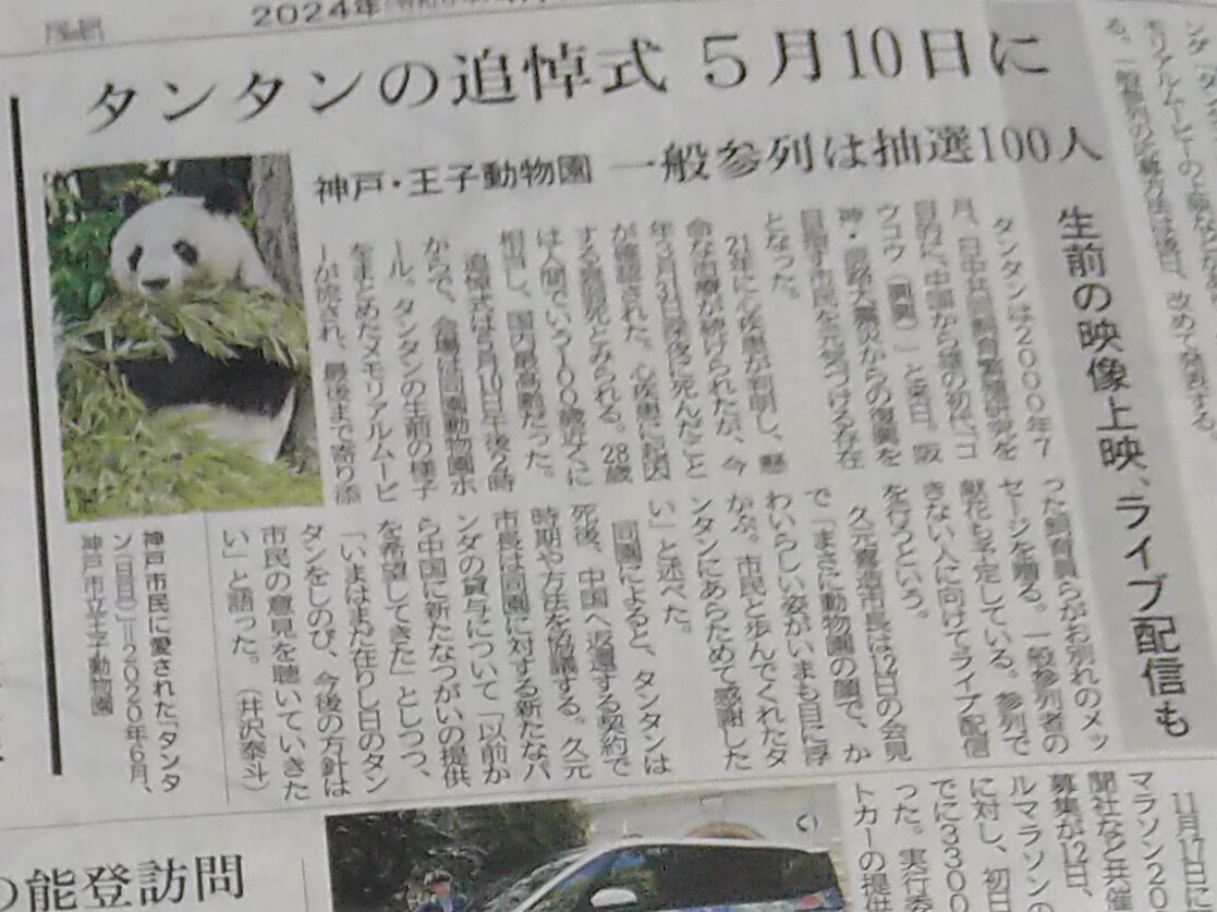 神戸 王子動物園 タンタン 新聞記事 パンダ 旦旦 新聞の画像2
