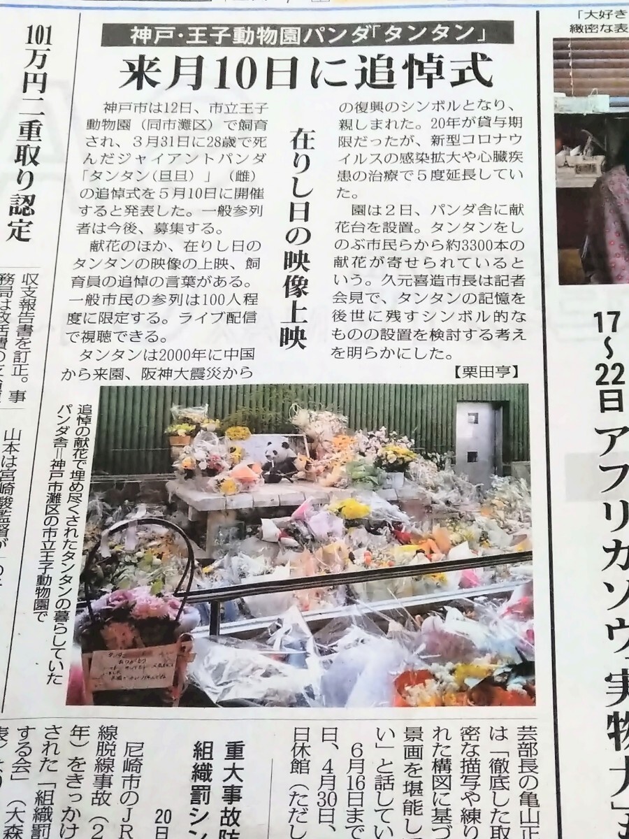 神戸 王子動物園 タンタン 新聞記事 パンダ 旦旦 新聞 M_画像1