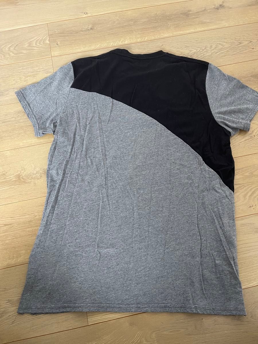 値下げ！ Hollister Co.(ホリスター)メンズ 半袖Tシャツ　Lサイズ