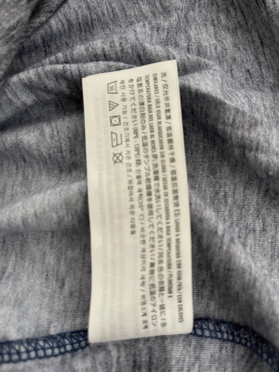 値下げ！Hollister Co.(ホリスター)メンズ 半袖Tシャツ　Lサイズ　数年前ハワイ店にて購入