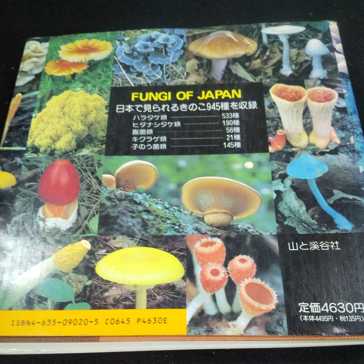 m-316 mountain . color name . japanese .. . mountain ... company 1991 year issue is latake kind hida not equipped take kind .. kind ki jellyfish kind .. .. kind etc. *10