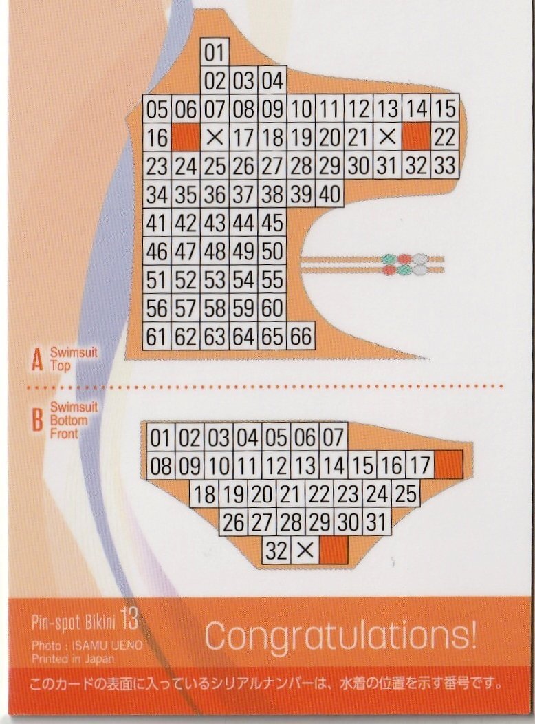 [. глициния . плата ]38/66 булавка spo бикини карта 13( бюстгальтер ) очень редкий карта First * коллекционная карточка 