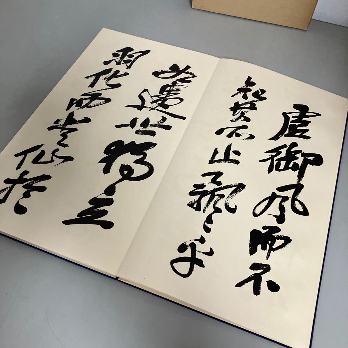 呉昌碩行書前赤壁賦 西東書房 昭和60年初版●呉昌碩 中国書道 教本 四絶 篆刻家 書家 四絶 芸術 篆書 ごしょうせき●A3855-8_画像6