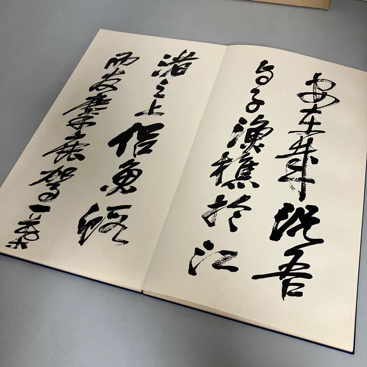 呉昌碩行書前赤壁賦 西東書房 昭和60年初版●呉昌碩 中国書道 教本 四絶 篆刻家 書家 四絶 芸術 篆書 ごしょうせき●A3855-8_画像8