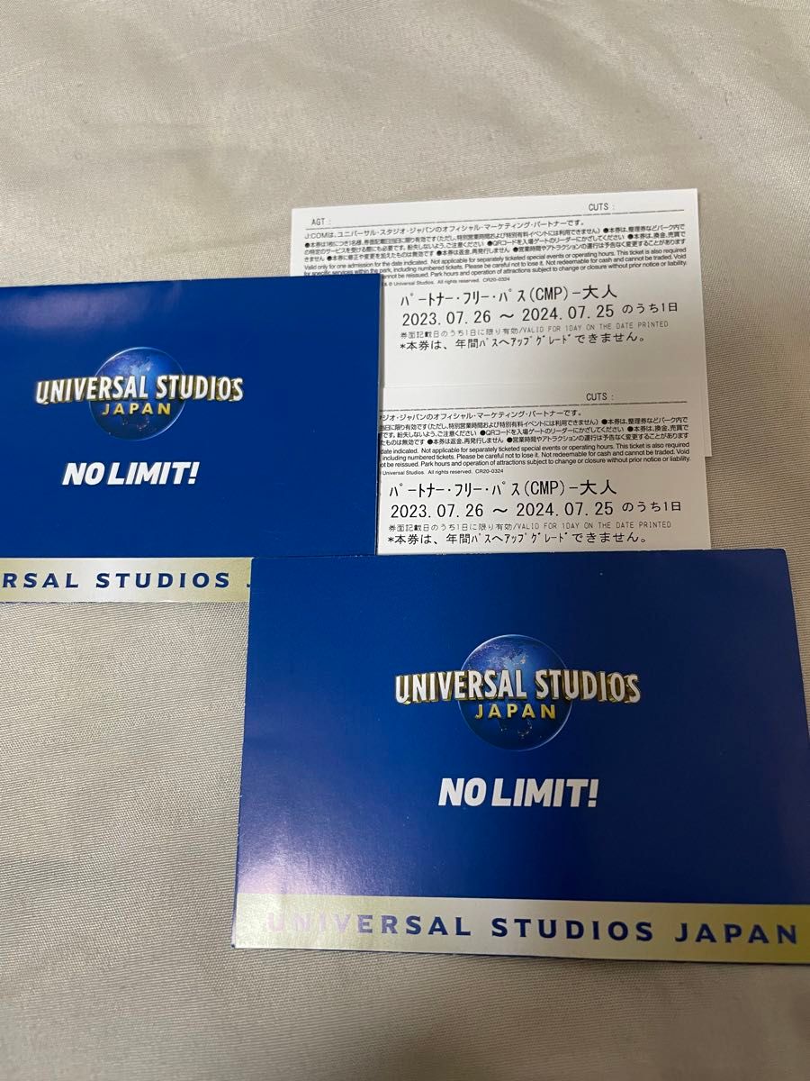 USJ パートナーフリーパス　大人1枚