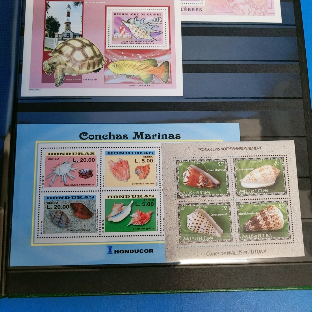 内田コレクション切手蒐集帳 350枚～ 各種貝類・ラン・英国・アインシュタイン・映画作り 全点撮影しています！の画像4