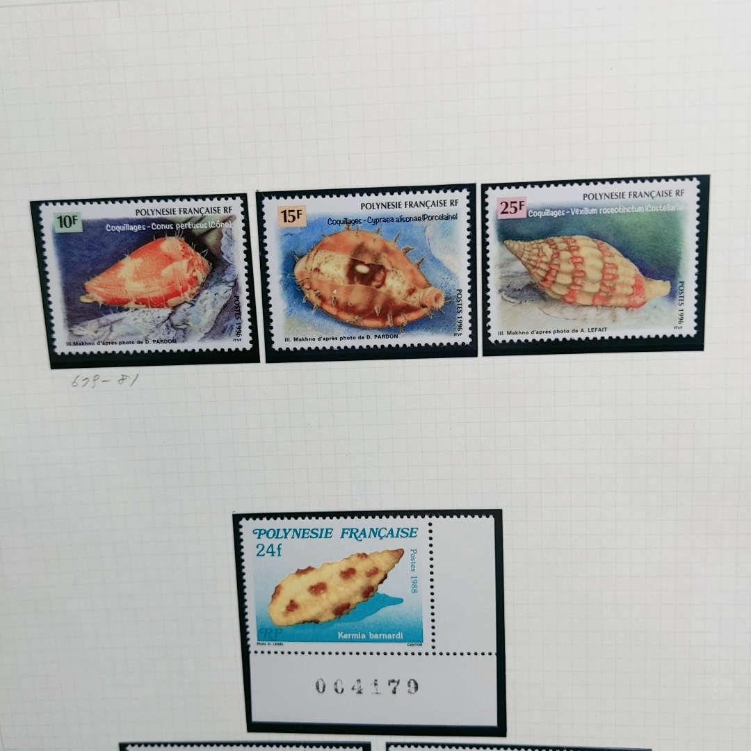 『貝類 64枚～』内田コレクション切手蒐集帳 全点撮影しています！の画像6