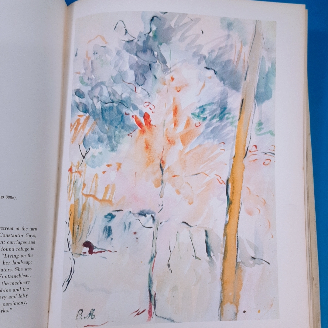 「ベルト・モリゾ作品集 1961 Berthe Morisot: Drawings, pastels, watercolours, painting Elizabeth Mongan Thames ＆ Hudson 」の画像9