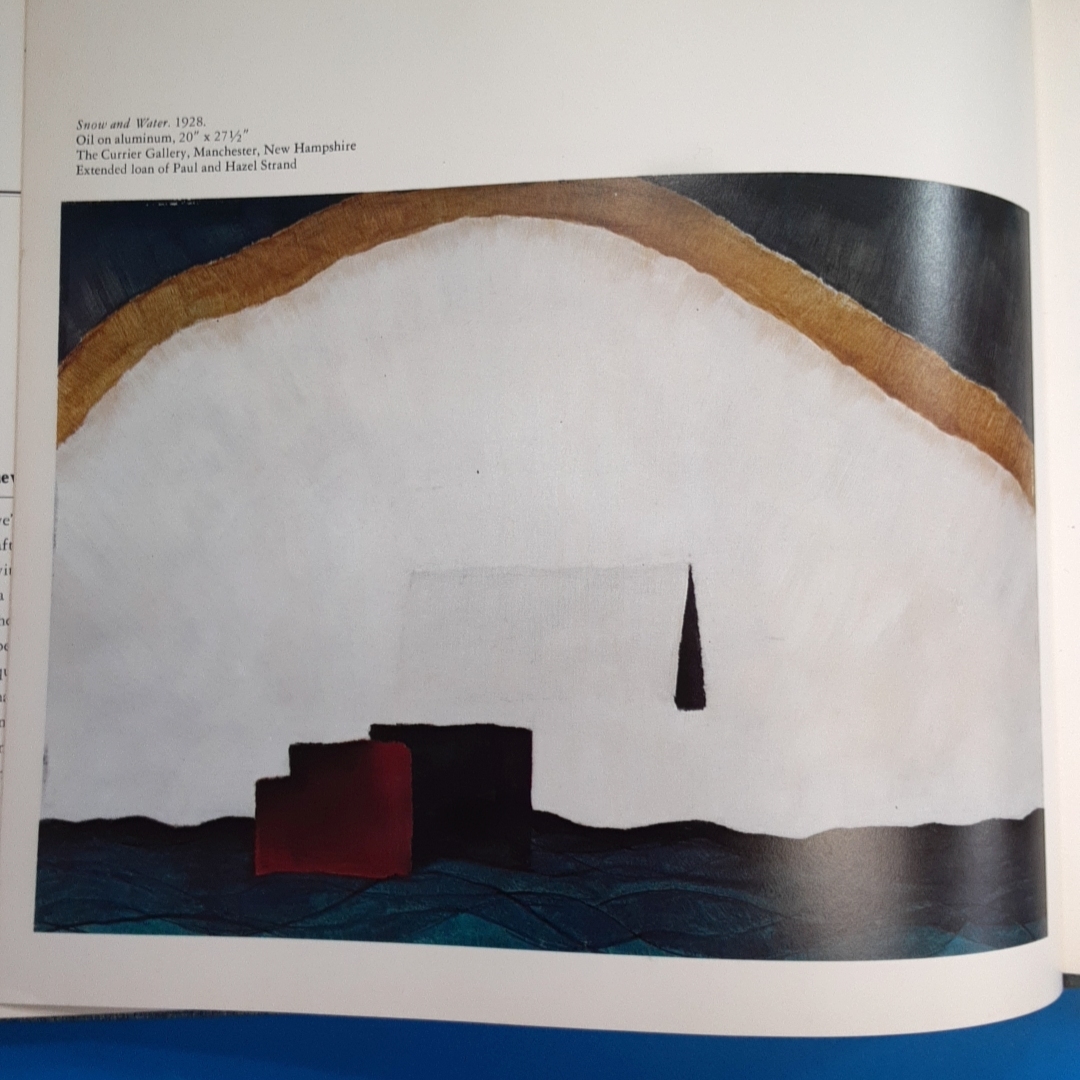 「アーサー・ダヴ Arthur Dove Barbara Haskell San Francisco Museum of Art 1974」の画像9