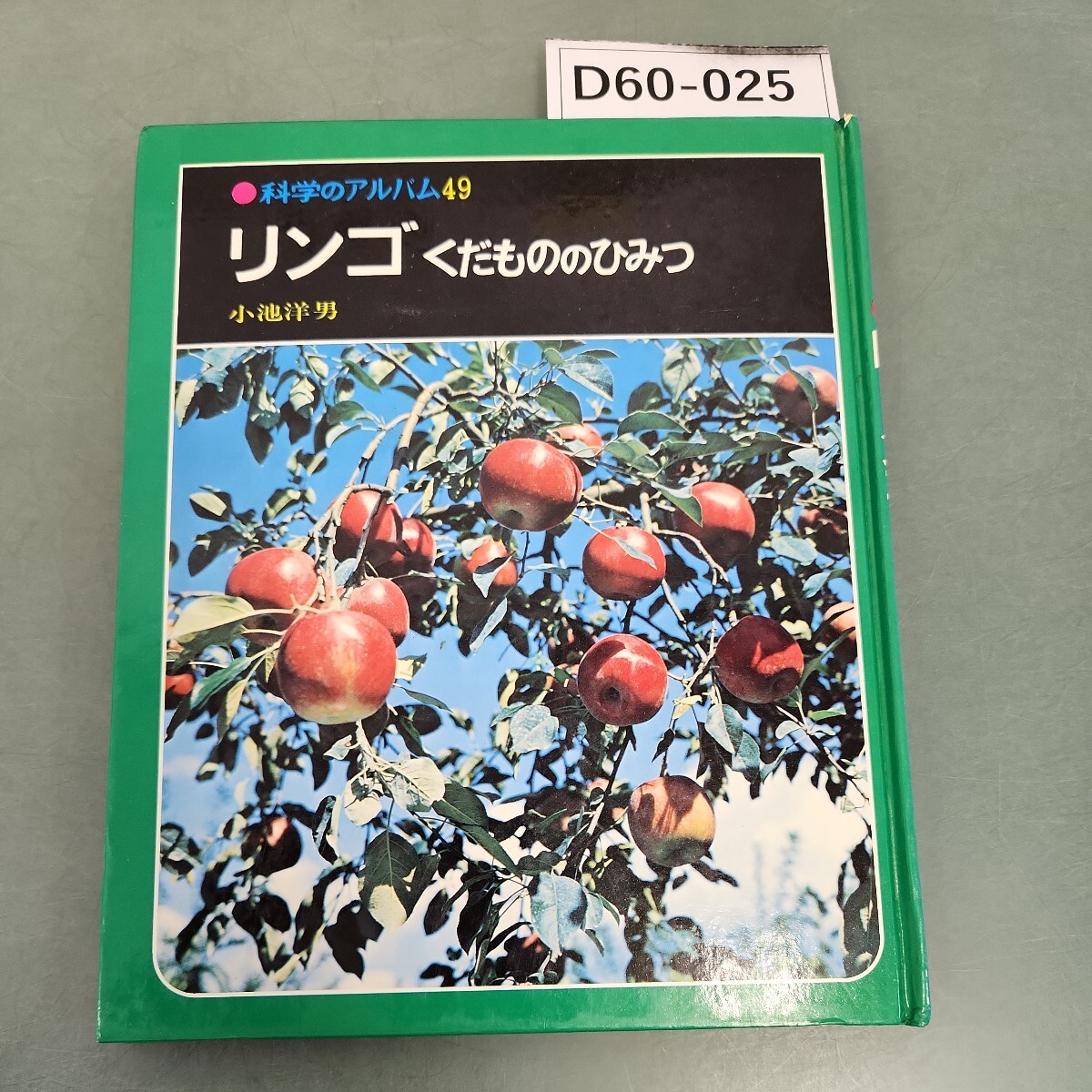 D60-025 科学のアルバム49 リンゴくだもののひみつ 小池洋男_画像1