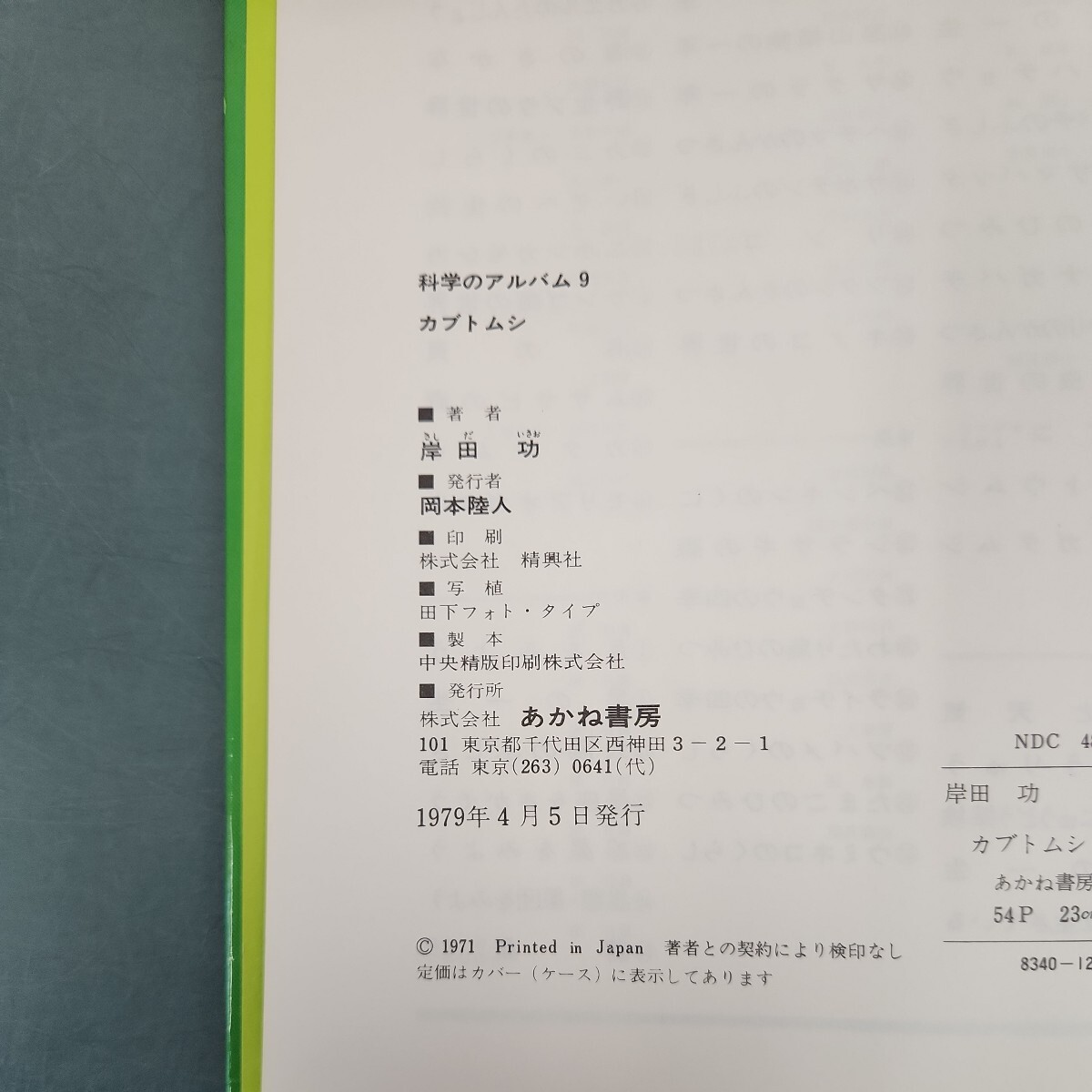 D60-036　科学のアルバム9　カブトムシ　岸田功　あかね書房_画像3