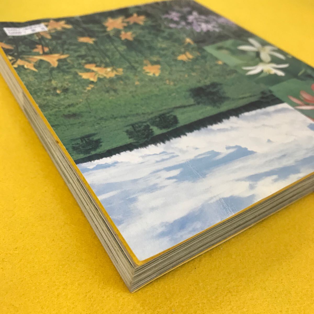 D58-051 four season. fields and mountains grass . person publish reverse side cover . breaking equipped . cover color fading equipped writing equipped 