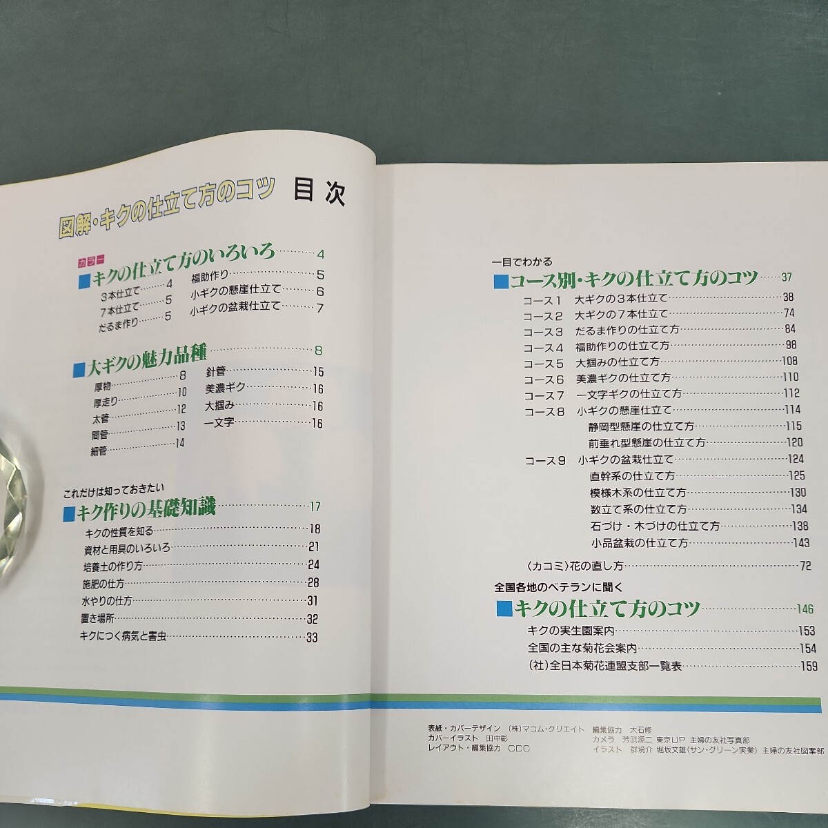 D63-176 図解 キクの仕立て方のコツ 全日本菊花連盟編 主婦の友社_画像2