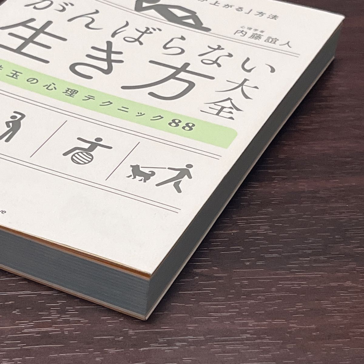 がんばらない生き方大全　世界最先端の心理学が教える「無理せずパフォーマンスが上がる」方法　珠玉の心理テクニック８８ 内藤誼人／著