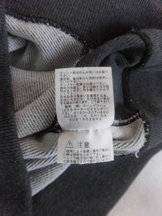 THE NORTH FACE ノースフェイス COLOR HEATHERED SWEAT HOODIE プルパーカー パーカー M/スウェット フーディ/グレー/メンズ/NT61696_画像9