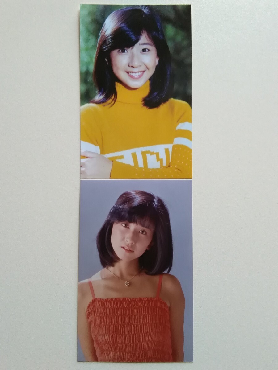 【大場久美子】(70年代アイドル)/【マルベル堂プロマイド ９枚】&【ラミネートカード】の画像4