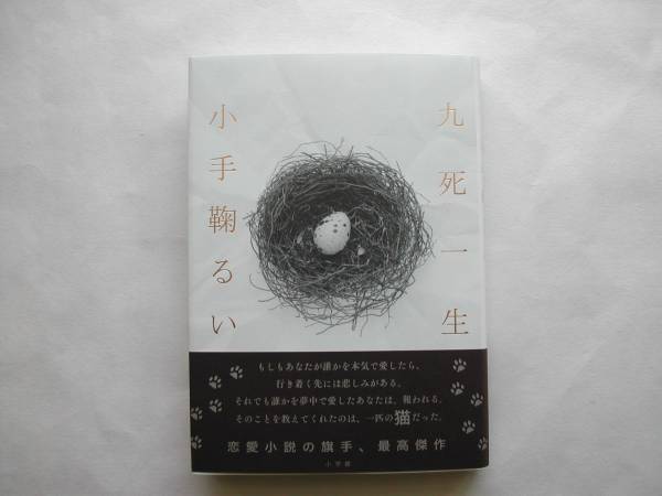 署名本・小手鞠るい「九死一生」初版・帯付・サイン_画像1