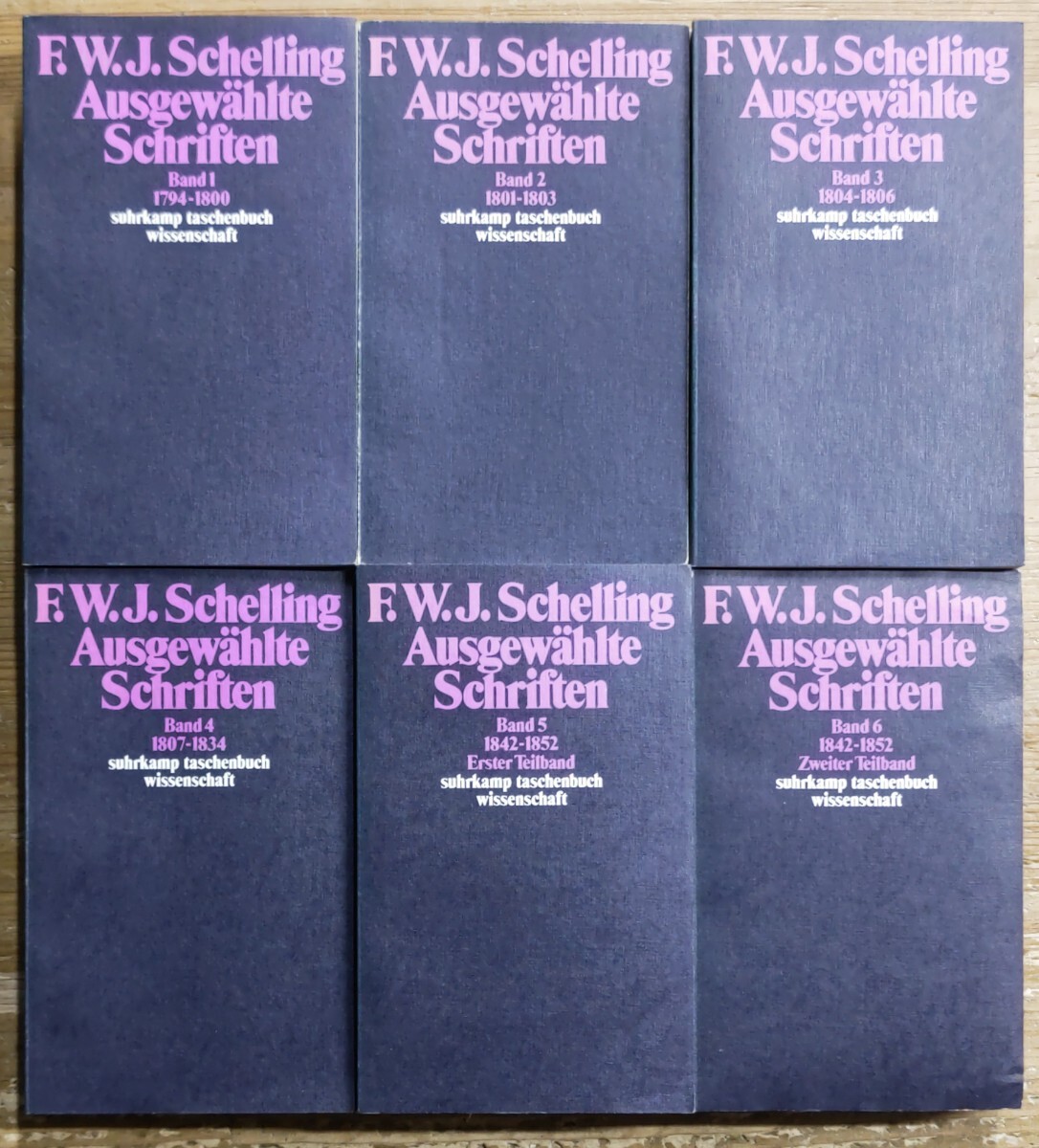 r0413-13.FW.J. Schelling Ausgewhlte Schriften 全6巻揃/ドイツ語/フリードリヒ・シェリング/ドイツ観念論/哲学/思想/Philosophy/の画像3