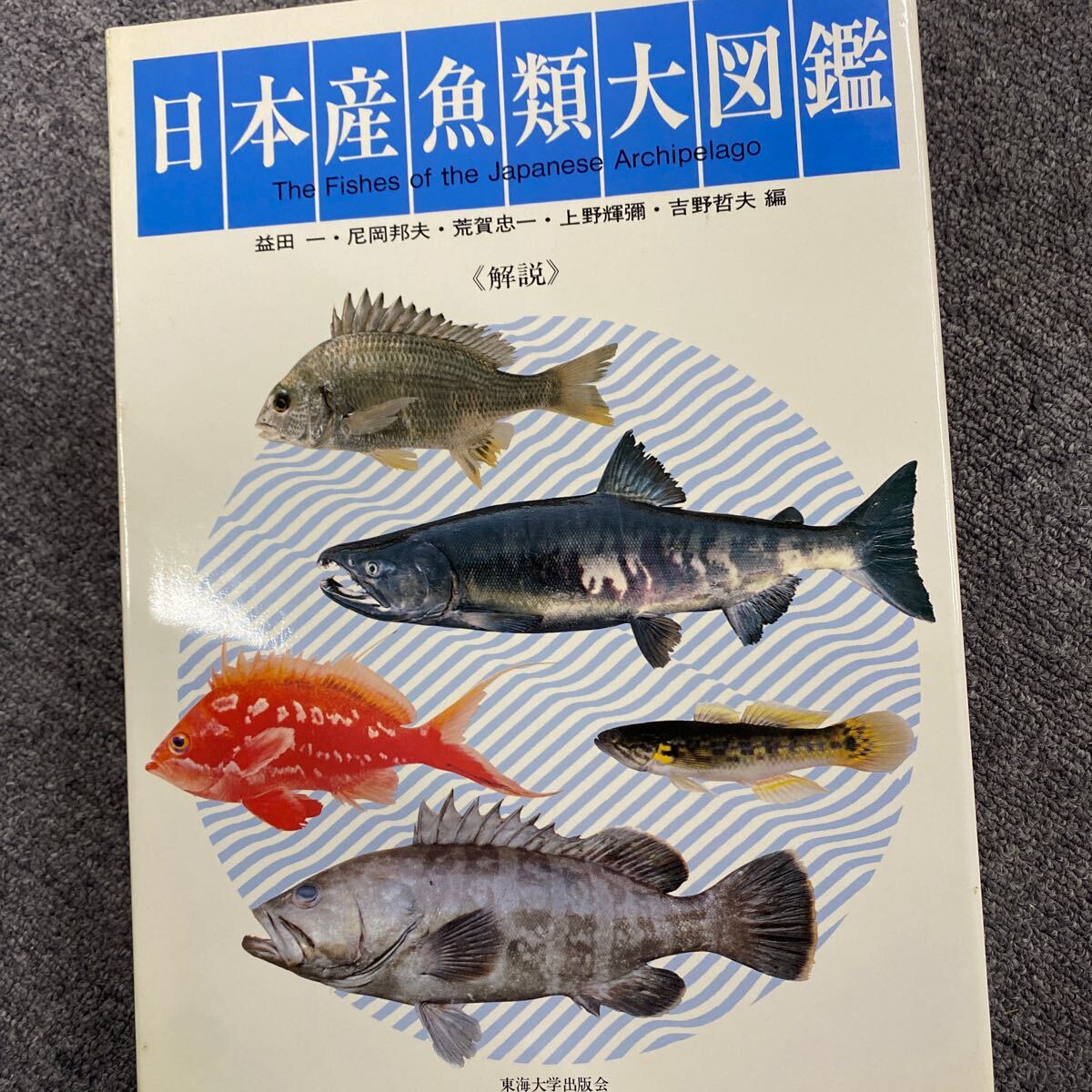 04128 中古品書籍 日本産魚類大図鑑 益田一/尼岡郁夫/荒賀忠一/上野輝彌 他 写真/画像/イラスト/解説 東海大学出版会 ※箱付き