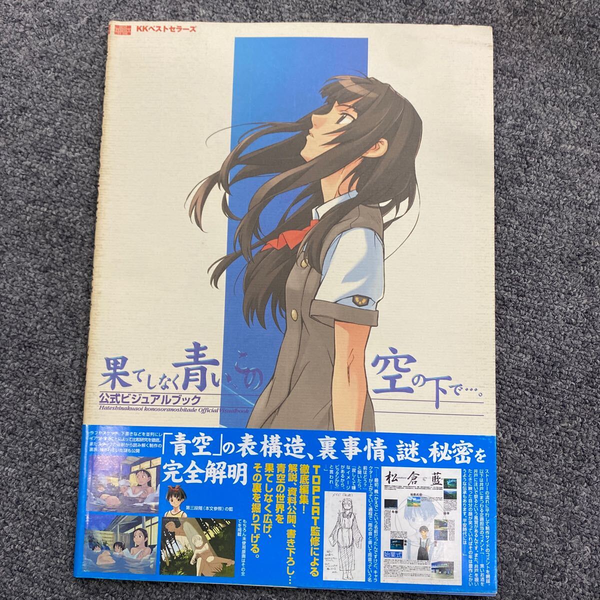 04398果てしなく青い、この空の下で…。 公式ビジュアルブック/ベストセラ-ズ/柏崎コタロ- （大型本）現状品_画像1