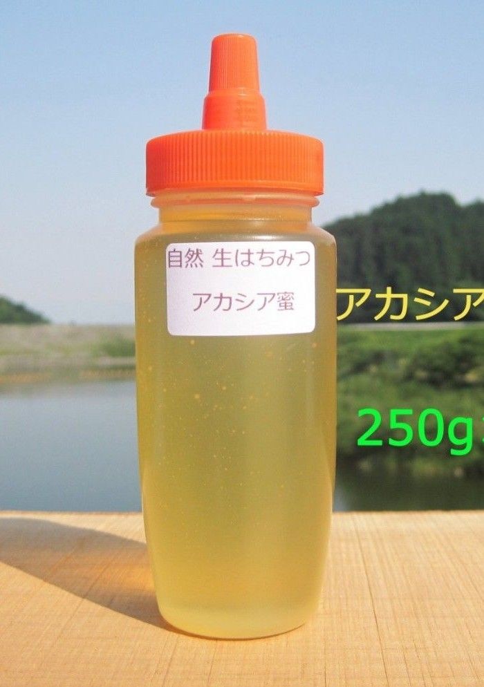 けやき様専用です。 国産アカシア蜜250g×５本