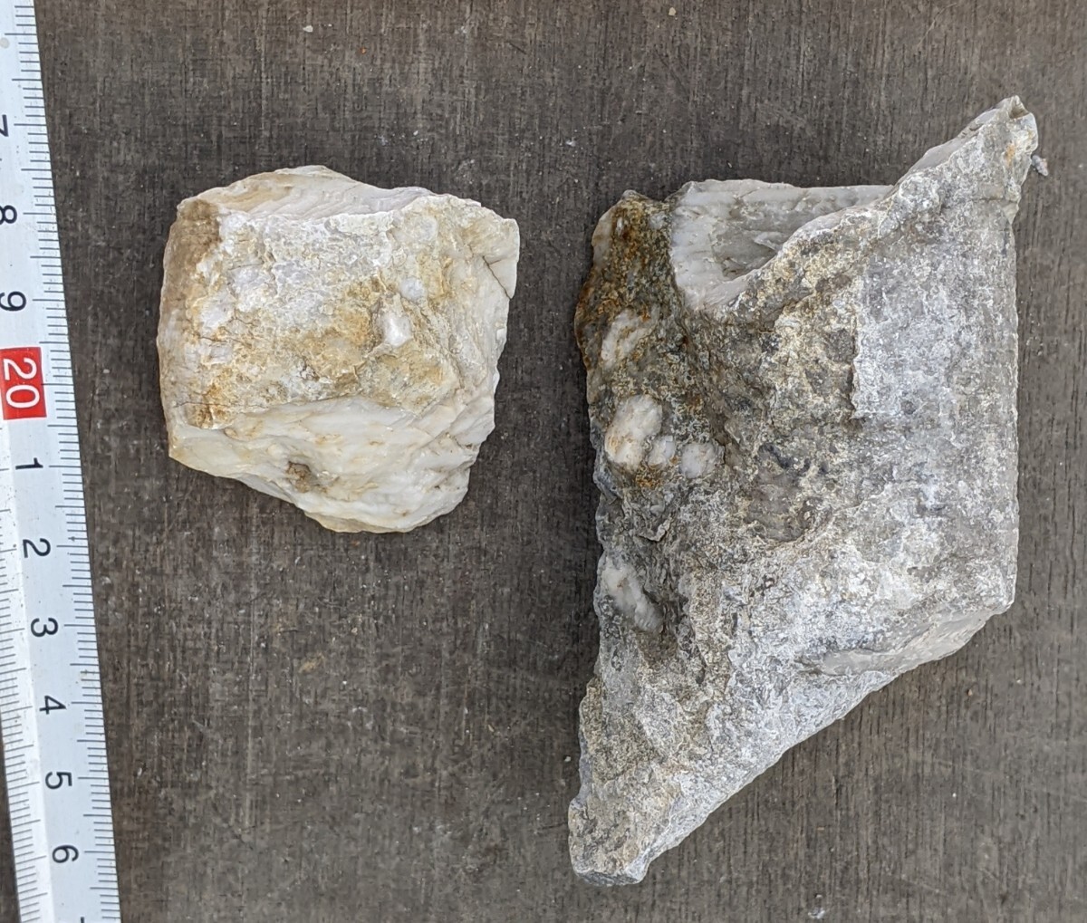 岐阜県金生山化石　ウミユリ　分離品と一度分離したものがさざれ石のように固まったもの_画像5