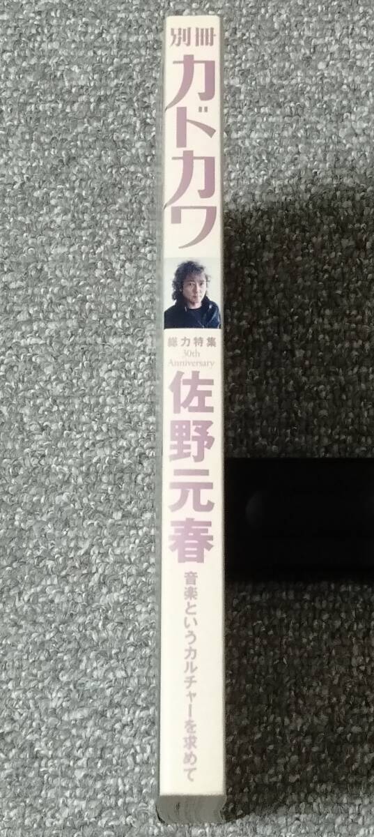 希少書籍　「別冊カドカワ 総力特集 佐野元春」　（検・大滝詠一、杉真理、伊藤銀次、小田和正）_画像3