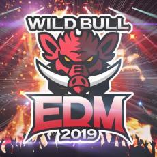 ケース無::ts::Wild Bull EDM 2019 レンタル落ち 中古 CD_画像1