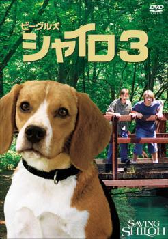 bs::ビーグル犬 シャイロ 3 最終章 特別版 レンタル落ち 中古 DVD_画像1