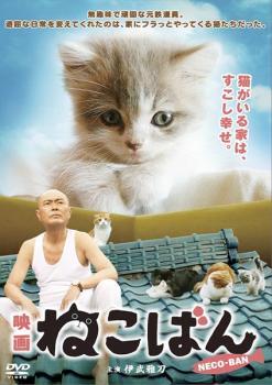 ケース無::【ご奉仕価格】映画 ねこばん レンタル落ち 中古 DVD_画像1