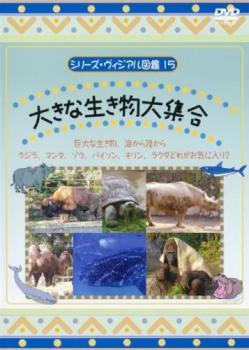 ケース無::ts::シリーズ・ヴィジアル図鑑 15 大きな生き物大集合 レンタル落ち 中古 DVD_画像1