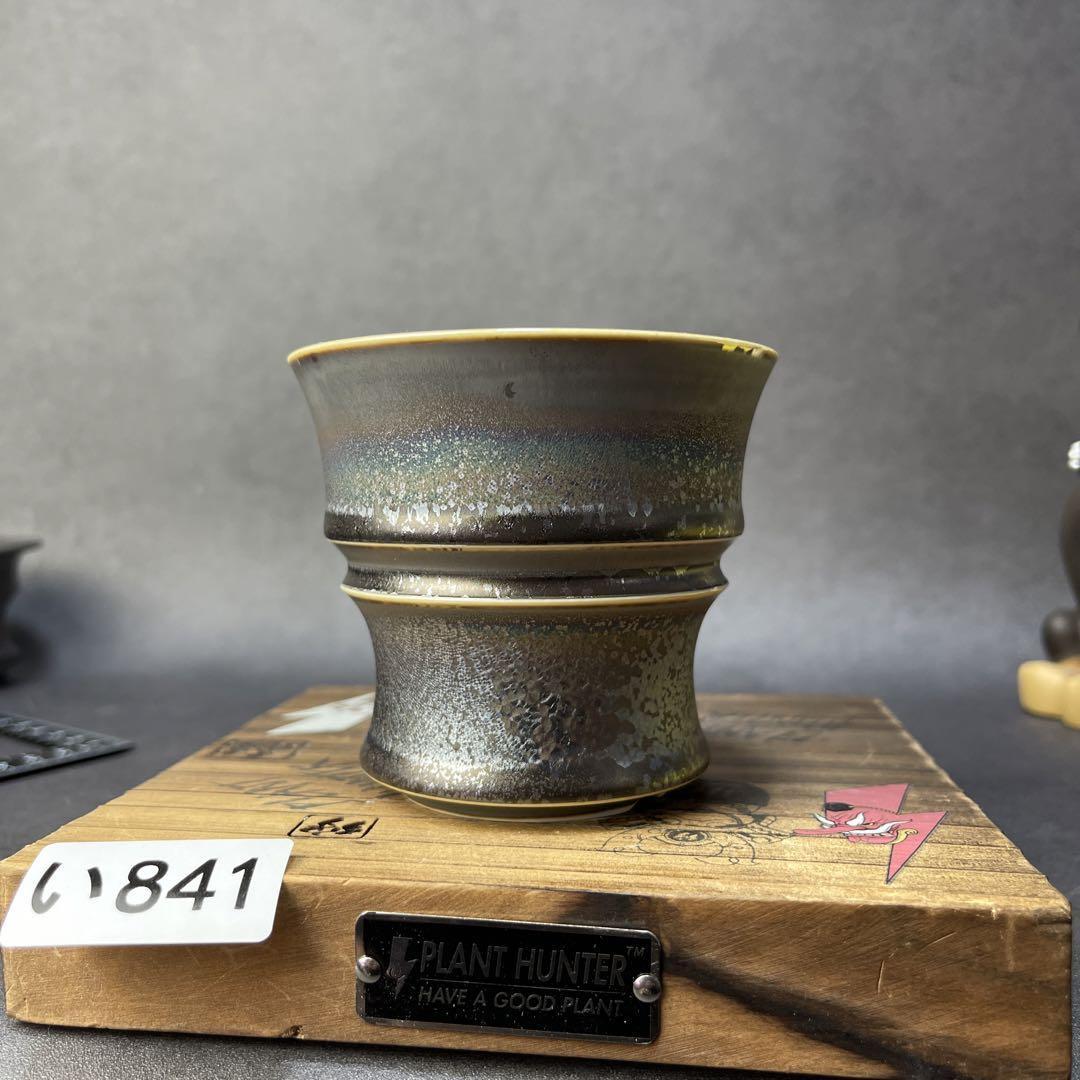 Ichi 841 м размер цветочного горный тест на глиняный тест (кусково -корневое растение agabe pakipus невидимые чернила необработанная фабрика Srl Shigaraki Yakiden City Bowl Katachi Works)