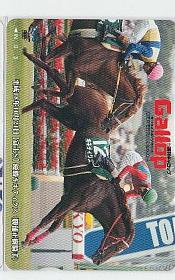 9-x258 競馬 Gallop キネティクス 富士S クオカード_画像1