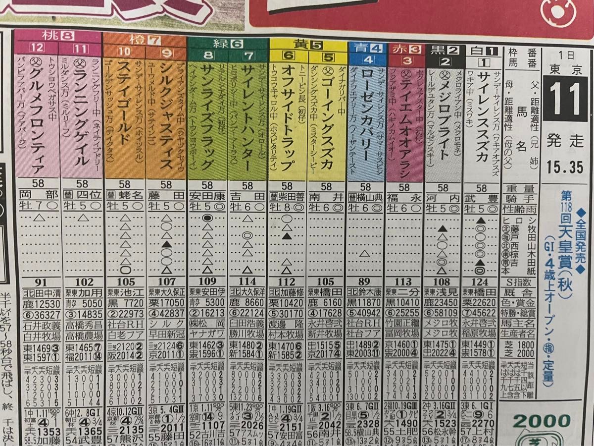 1998年 第118回 天皇賞 秋  サイレンススズカ メジロブライト 単勝馬券 競馬新聞 記念入場券（半券）