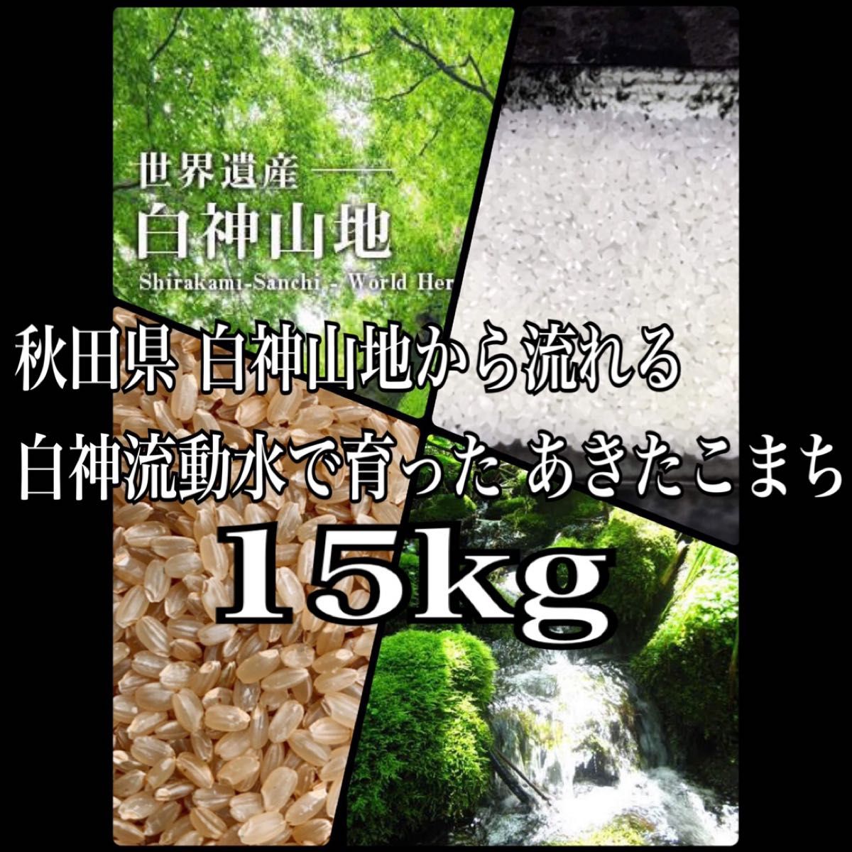 農家直送 秋田県産 令和5年 あきたこまち 15kg 特別栽培米 秋田小町 無洗米も対応