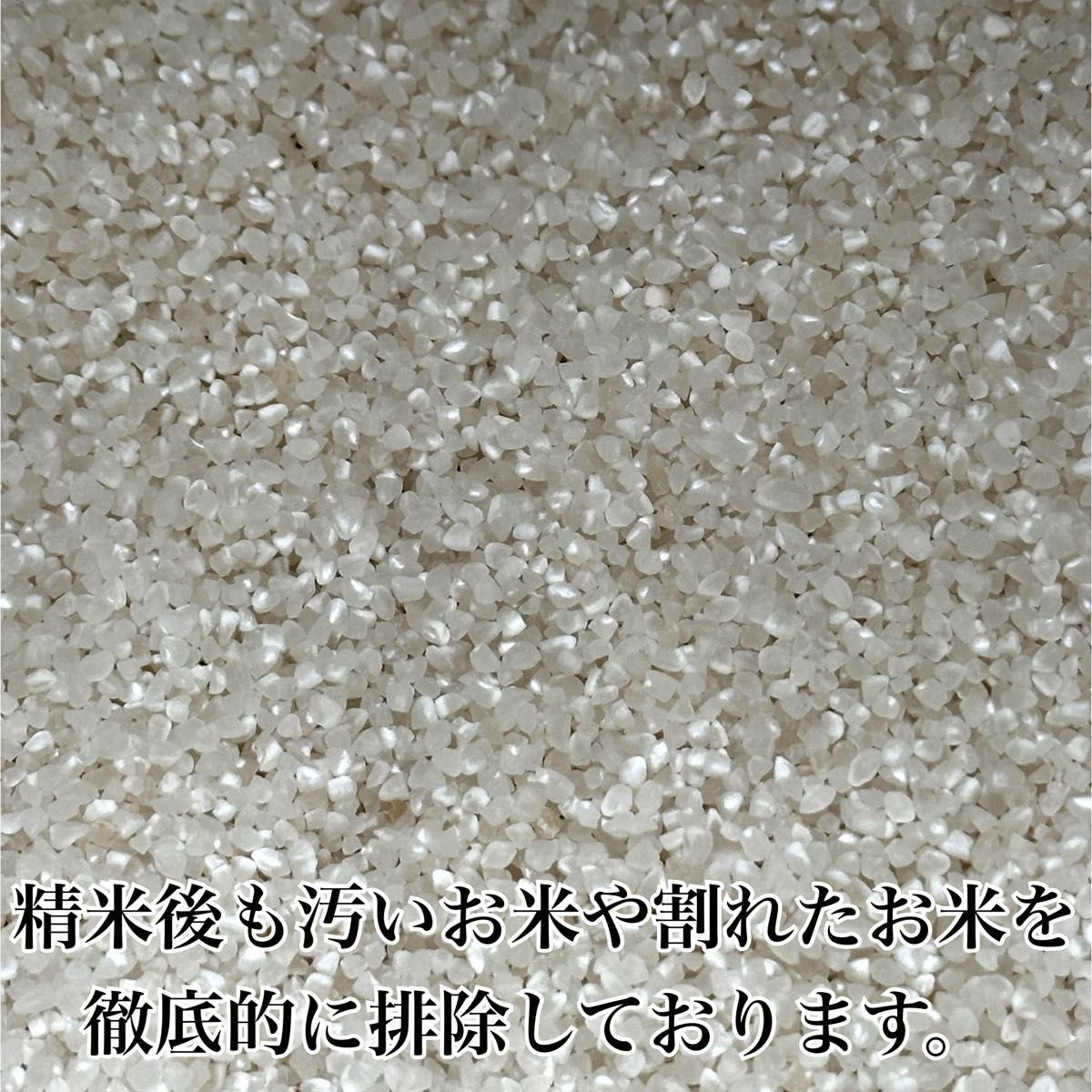 農家直送 秋田県産 令和5年 あきたこまち 20kg 特別栽培米 秋田小町 無洗米も対応