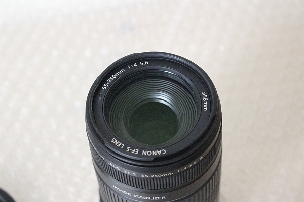 ★Canon EF-S 55-250mm F4-5.6 IS★の画像2