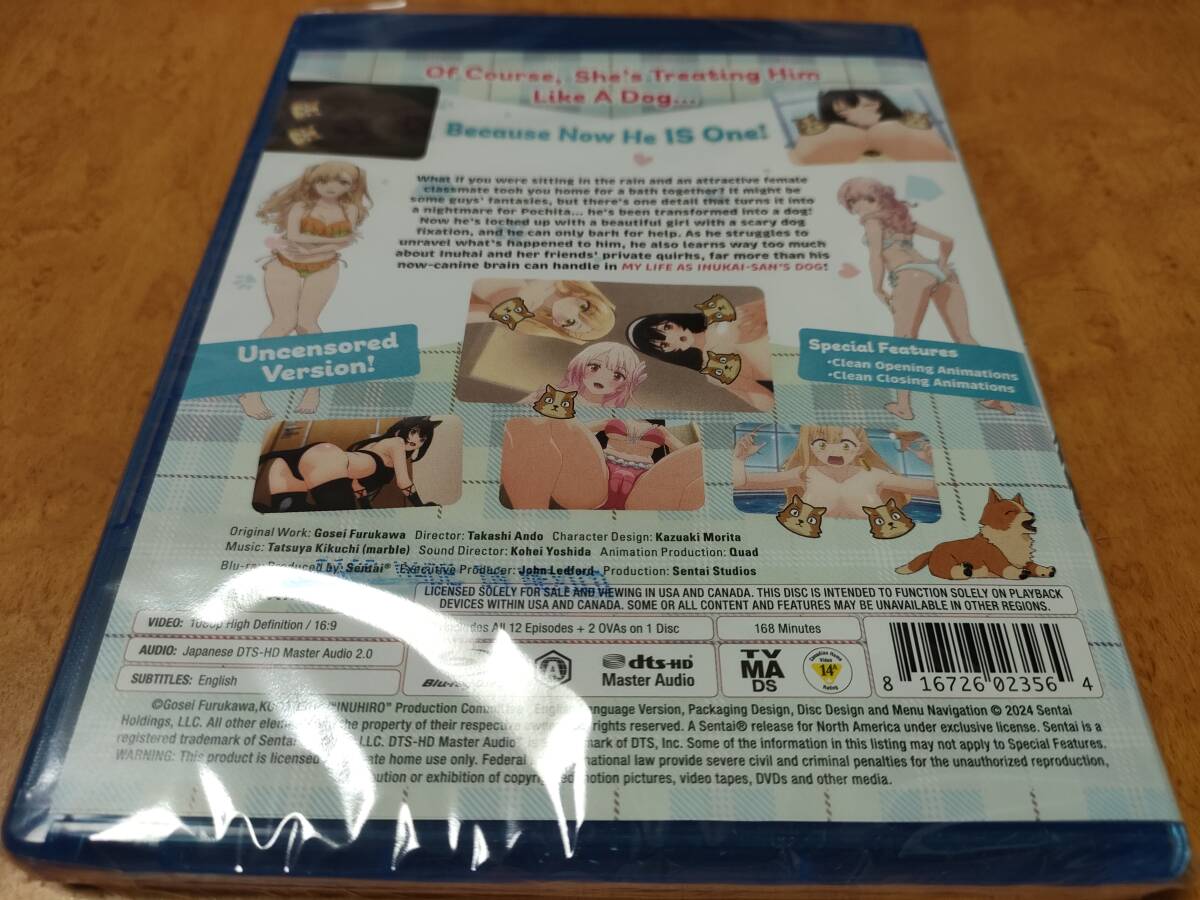 犬になったら好きな人に拾われた。 未開封輸入盤Blu-ray 会沢紗弥/相良茉優/小坂井祐莉絵/梅田修一朗 送料185円で最大４点まで同梱可の画像2