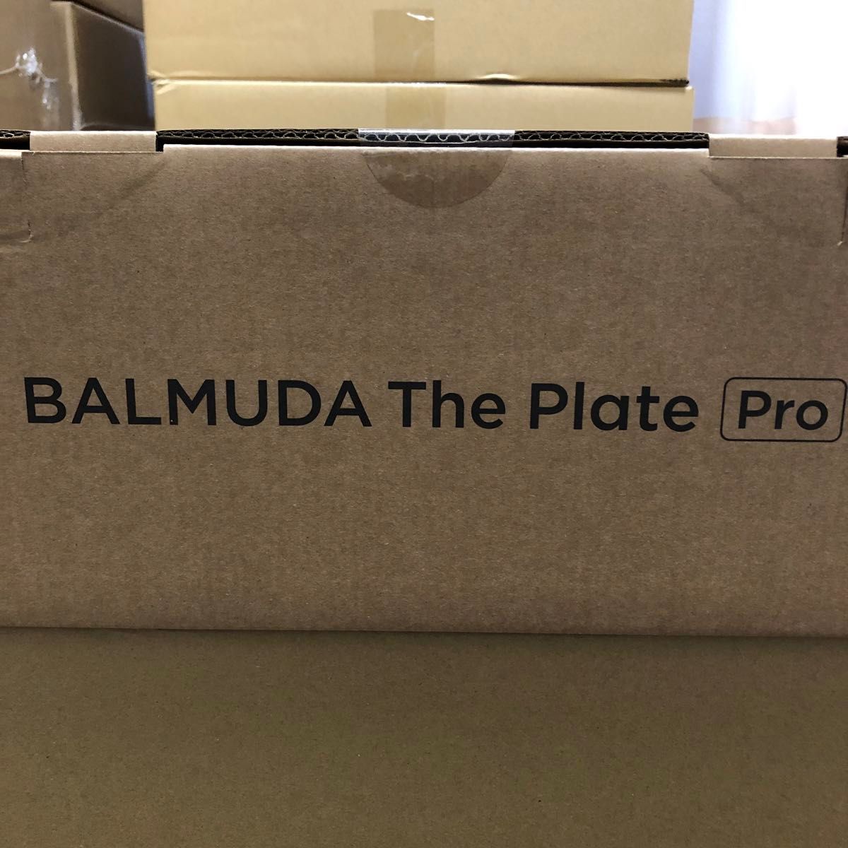 バルミューダ ザ・プレート プロ ホットプレート BALMUDA The Plate Pro K10A-BK