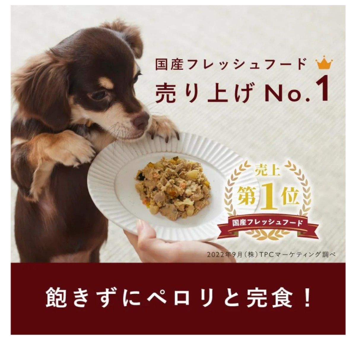 【最新】ココグルメ ポーク＆ブロッコリー 100g 4個☆愛犬用 手作り ウェットフード 無添加 国産